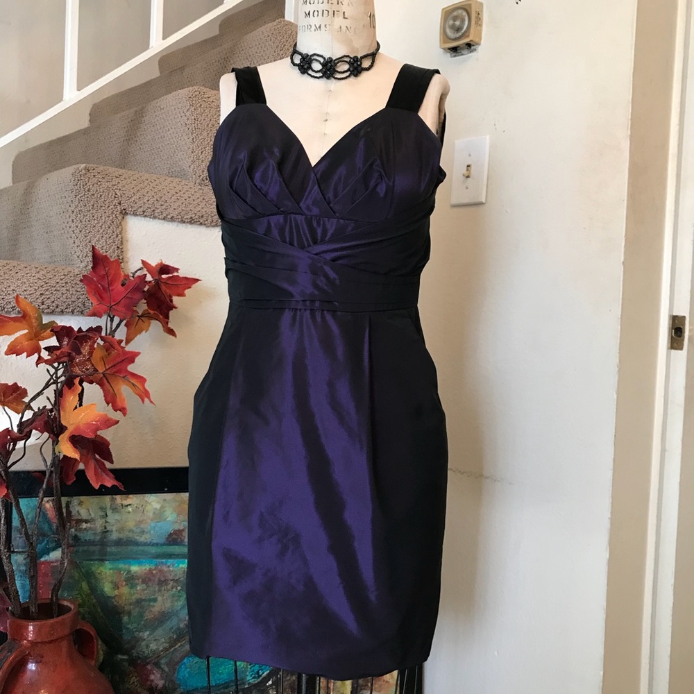 Banana Republic Woman’s Mini Dress SZ 4